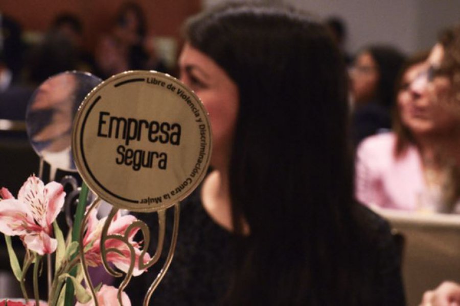 EMPRESA SEGURA LIBRE DE VIOLENCIA Y DISCRIMIANCIÓN CONTRA LA MUJER